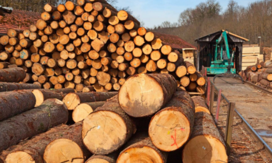 Në Kosovë rritet edhe çmimi i drurit