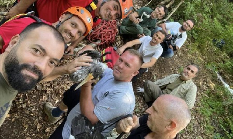 Dy lejlekëve u janë vendosur GPS në Kosovë