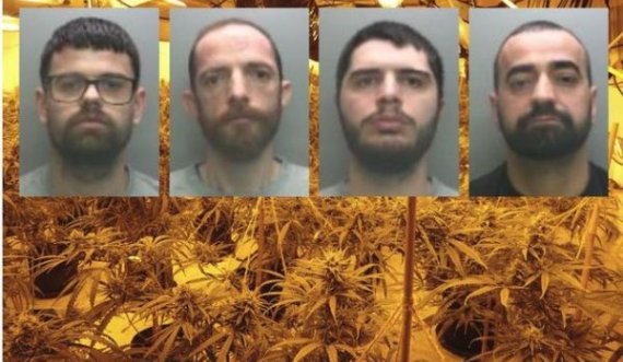 I shkaktuan dëm kolosal shtetit me vjedhjen e energjise, 4 shqiptarë kapen në shtëpi bari në Angli