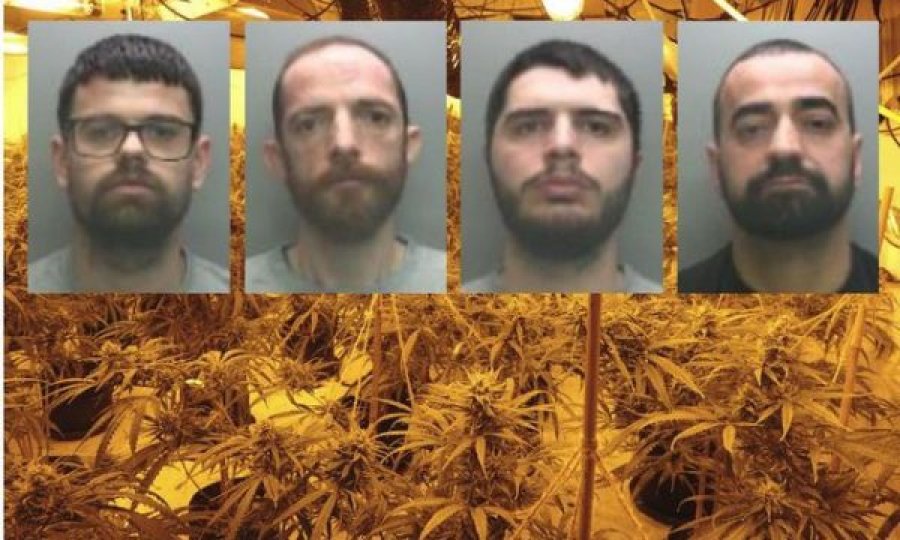 I shkaktuan dëm kolosal shtetit me vjedhjen e energjise, 4 shqiptarë kapen në shtëpi bari në Angli