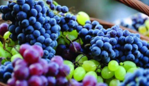 Zbuloni efektet mahnitëse që ka rrushi në trup