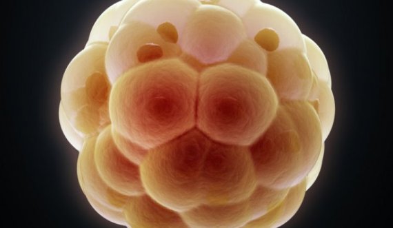 Fëmijët e lindur nga embrionet e ngrira mund të jenë më të rrezikuar nga kanceri