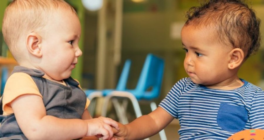 Fenomeni bizar mjekësor: Si është e mundur që binjakët të kenë baballarë të ndryshëm?