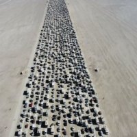 Deri në 9 orë bllokim trafiku në shkretëtirën e Nevadës
