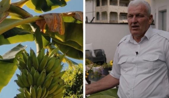 Bananja e parë 'Made in Kosova', po bëhet në këtë qytet të Kosovës