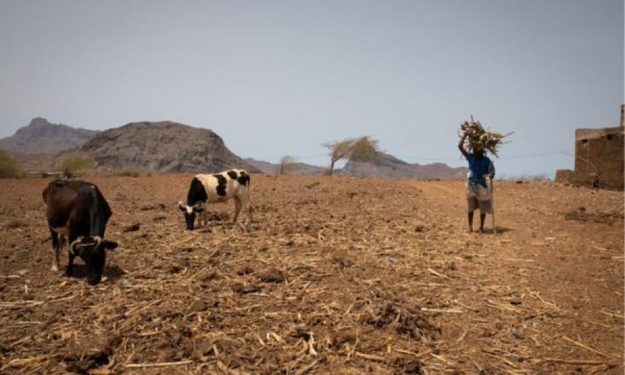 Raporti i frikshëm i UNDP-së: Kjo gjë po ndodh për herë të parë pas 32 vitesh