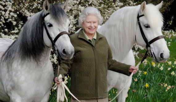 Mbretëresha Elizabeth II kishte më shumë se 100 kuaj