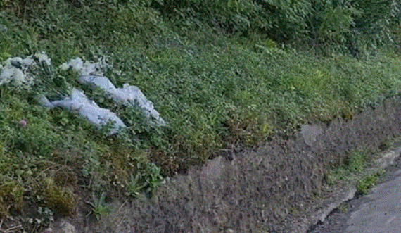 Aty ku u vra Enver Zymberi vendoset afishe në serbisht 