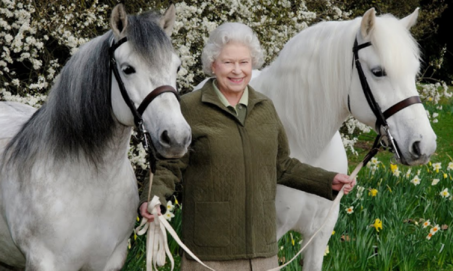 Mbretëresha Elizabeth II kishte më shumë se 100 kuaj