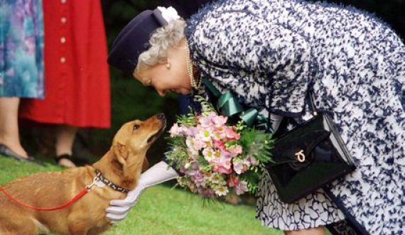 Princi Andrea dhe Sarah Ferguson do të kujdesen për qentë e Mbretëreshës