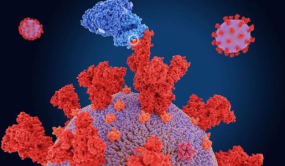 Rastet aktive me coronavirus në Kosovë