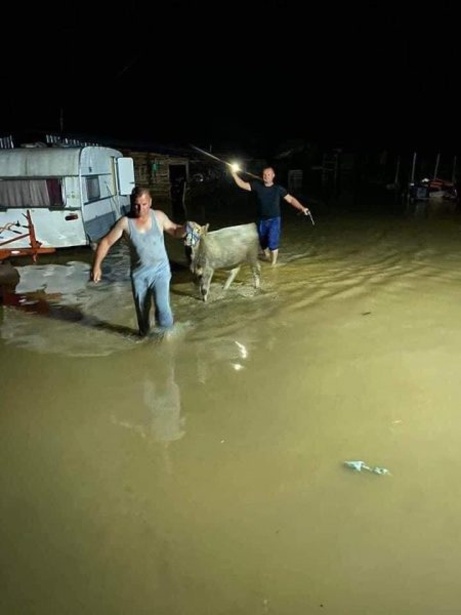 Vërshimet në Krushë, banorët detyrohen t’i zhvendosin kafshët për t’i shpëtuar