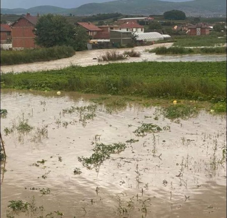 Kosova sot