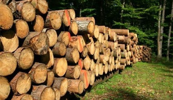 Kriza energjetike, rritet vjedhja e drunjve në Zvicër