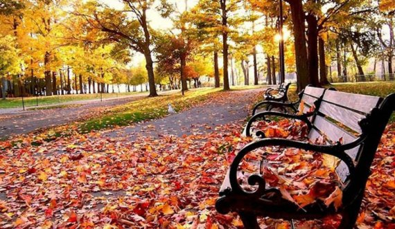 Sot nis stina e vjeshtës