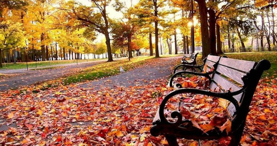 Sot nis stina e vjeshtës