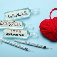 Hormoni Oksitocina mund të shërojë një zemër të thyer