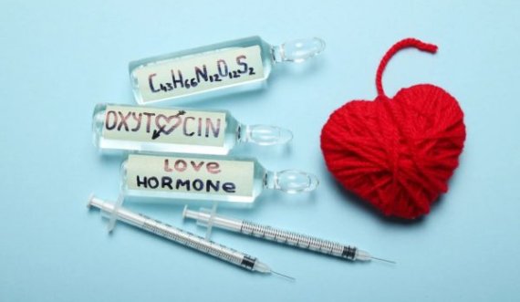 Hormoni Oksitocina mund të shërojë një zemër të thyer