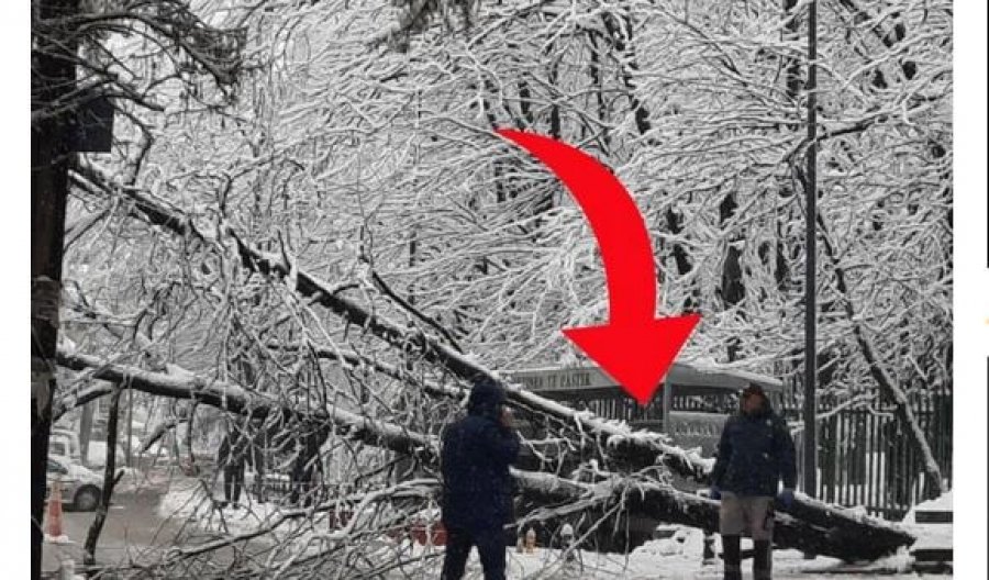 Përparim Rama kërkon nga qytetarët që mos të vizitojnë sot parqet e Prishtinës për shkak të këtij rreziku