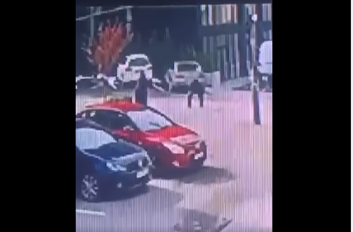 Një grua në Prishtinë sulmohet nga qentë endacakë, britmat e saj do ju trishtojnë