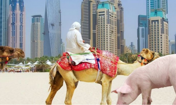 Ja veprimet që kurrë s’duhet t’i bëni si turistë në Arabinë Saudite