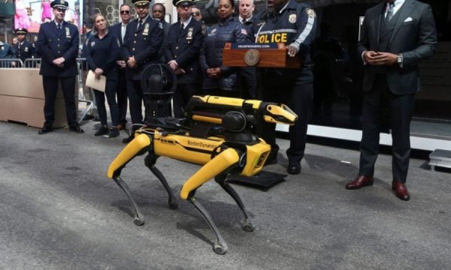Kujdes nga polici 'Qeni Robot'