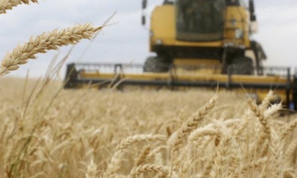  Sllovakia  bashkohet me Poloninë dhe Hungarinë, ndalon importet e grurit nga Ukraina