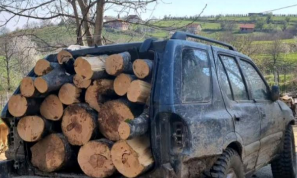 Policia zë një 17-vjeçar nga Kosova duke transportuar drunjë