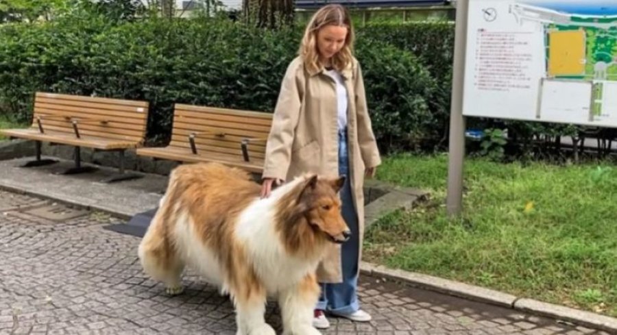 Njihuni me personin i cili shpenzoi mijëra euro për t’u 'transformuar' në qen