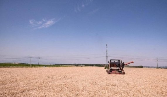 Ukraina do të eksportojë drithëra me tranzit nga Polonia