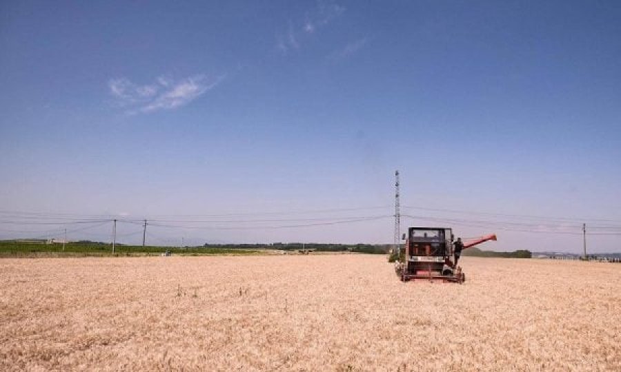 Ukraina do të eksportojë drithëra me tranzit nga Polonia
