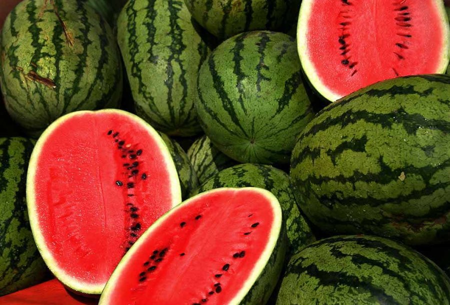 Shalqiri është një burim i pasur i vitaminave