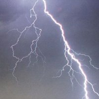 Rrufeja godet për vdekje një person, ngordhin dhe 20 bagëti