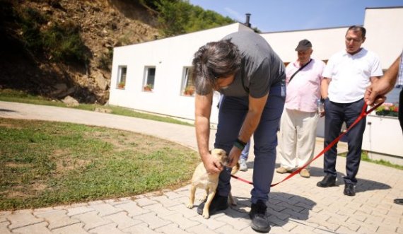 Rama: Qytetarët kanë shprehur interesim për adoptim, qentë endacakë do të pajisen me mikroçip