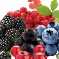 Ky frut redukton yndyrën