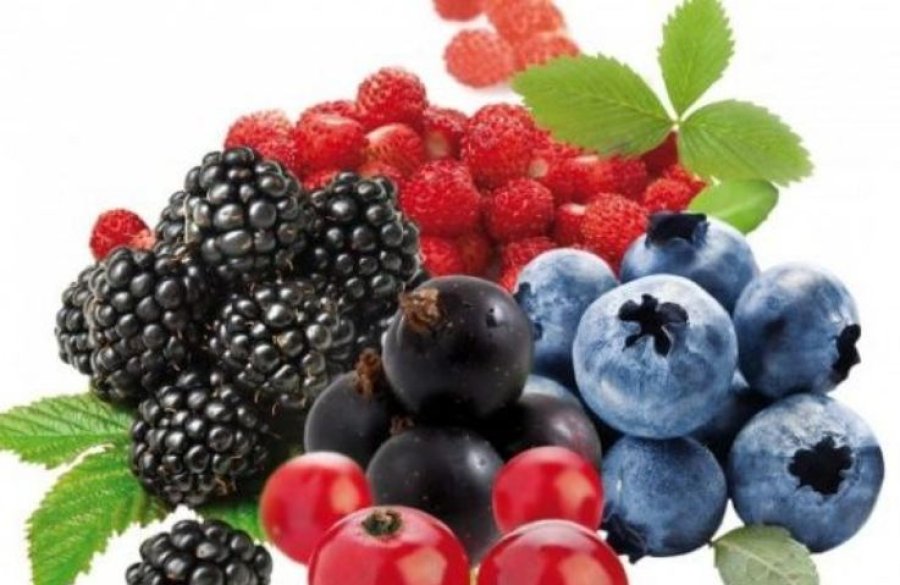 Frutat e pyllit janë të mbushura më minerale, vitamina dhe fibër