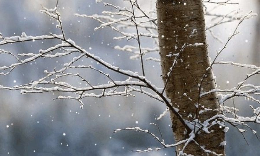 Moti i ftohtë sot në Kosovë, do të ketë edhe borë