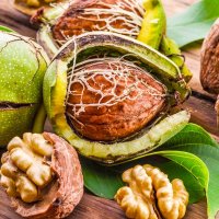 Arrat janë burim i shkëlqyer i acideve yndyrore omega-3