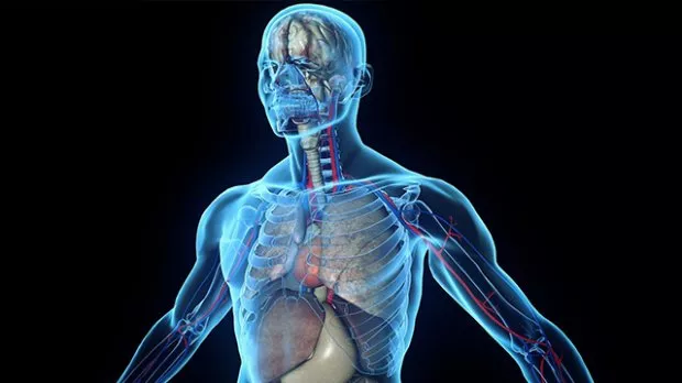 Si ta pastrojmë organizmin nga mbajtja e ujit