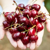 Qershitë përmbajnë vitaminë A
