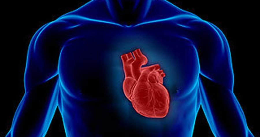 Parandaloni sëmundjet e zemrës: filloni që nga të njëzetat