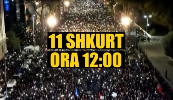 “McGonigal”, del spoti i PD për protestën e 11 shkurtit