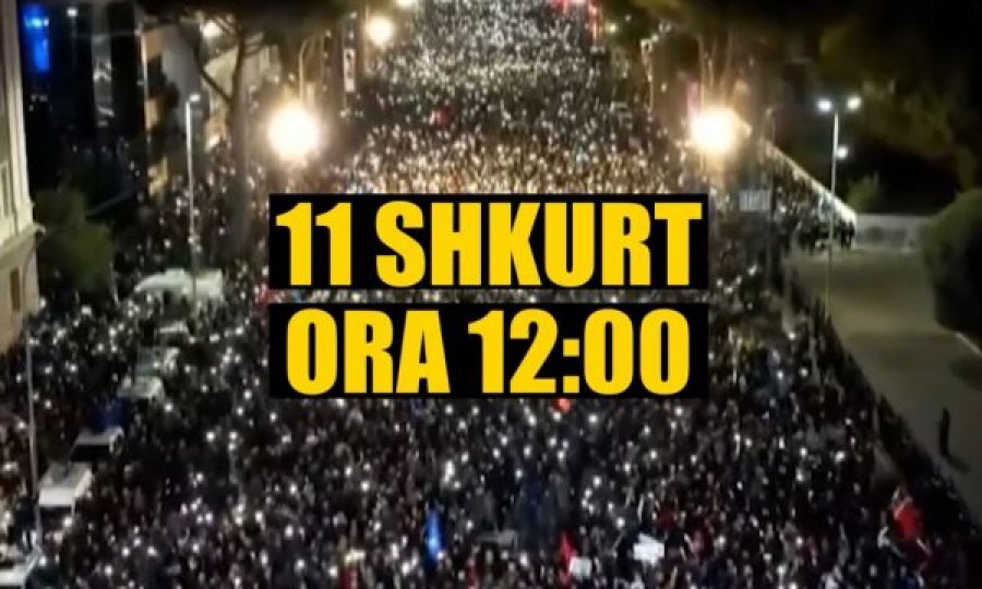 “McGonigal”, del spoti i PD për protestën e 11 shkurtit