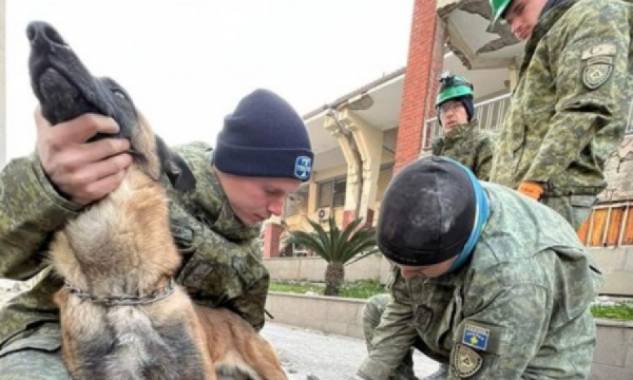 Pas lëndimit në Turqi qeni i FSK-së merr ndihmën e parë