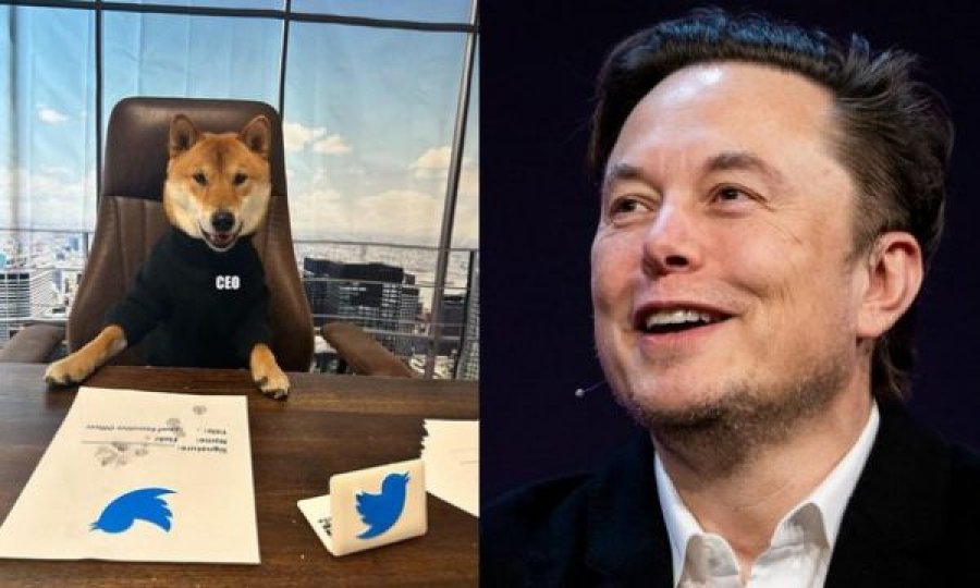 Musk prezanton 'shefin e ri' të Twitter-it