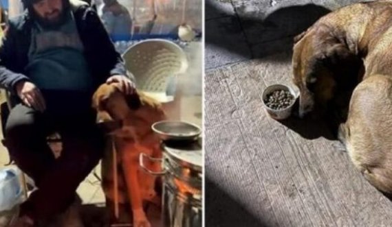 9-vjeçarja doli e vdekur nga rrënojat, qeni i saj i trishtuar ndalon së ngrëni