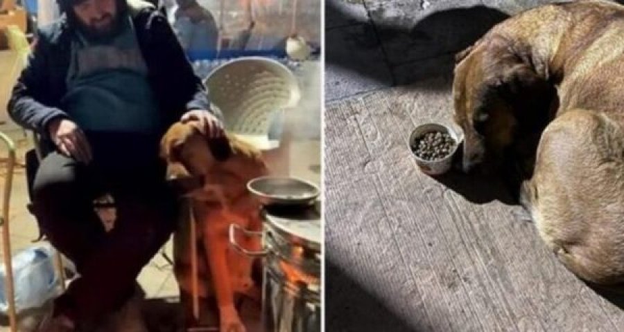 9-vjeçarja doli e vdekur nga rrënojat, qeni i saj i trishtuar ndalon së ngrëni