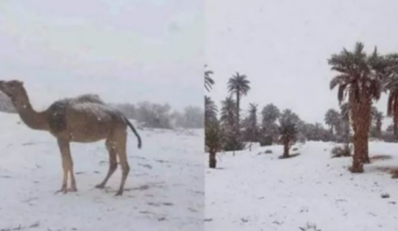 Bora mbulon edhe Saharanë