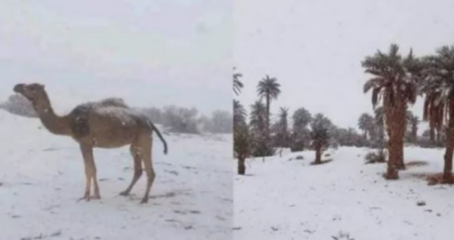 Bora mbulon edhe Saharanë