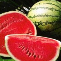Shalqiri është një nga frutat më të freskëta që mund të hani në verë